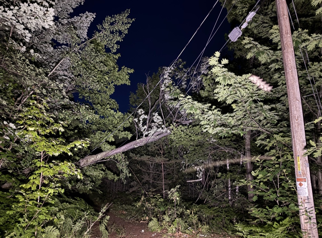 Storm damage with a down tree on a line