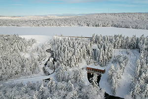 snowy landscape