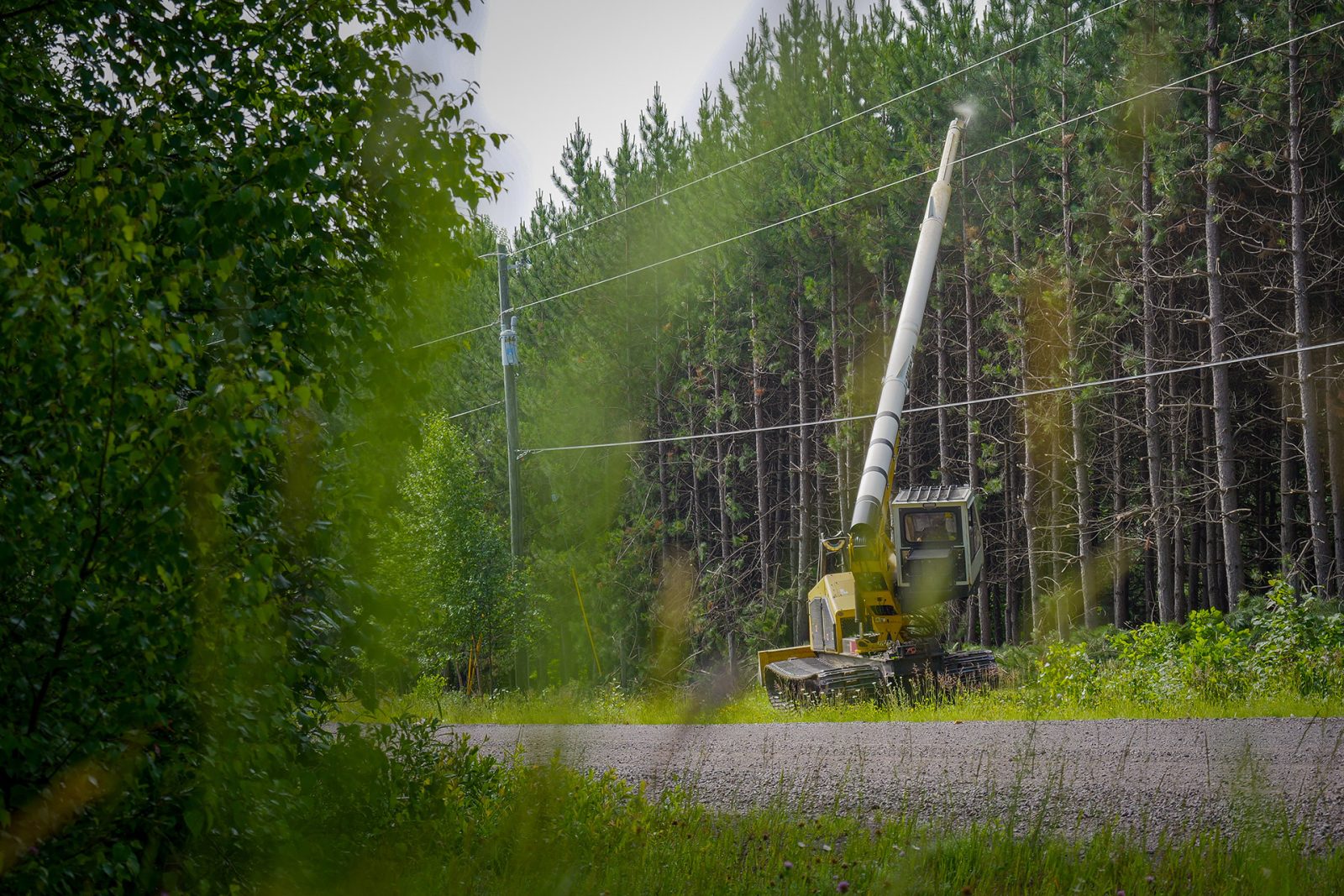 Jarraff tree trimming machine working alonside a rural right-of-way