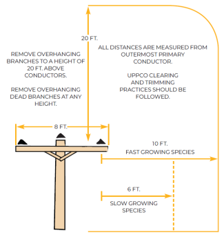A graphic depicting distances for trimming and planting trees relative to electric infrastructure.