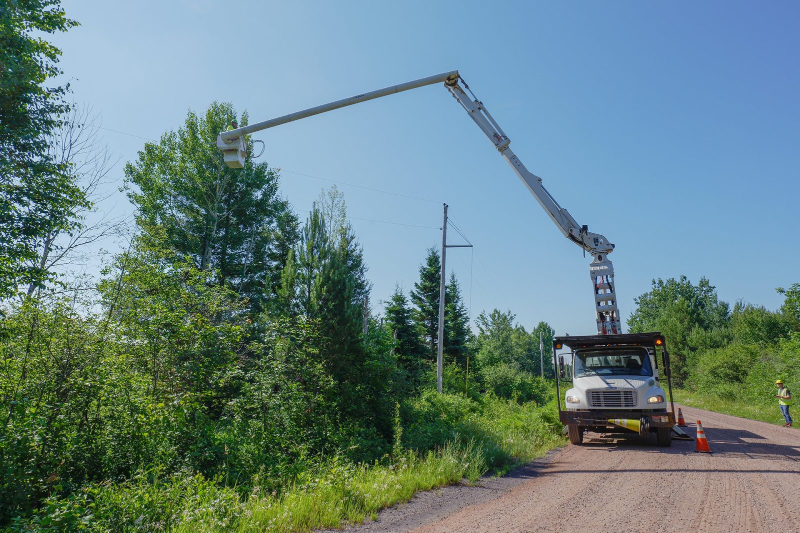 A vegetation management professional in a bucket along a rural road