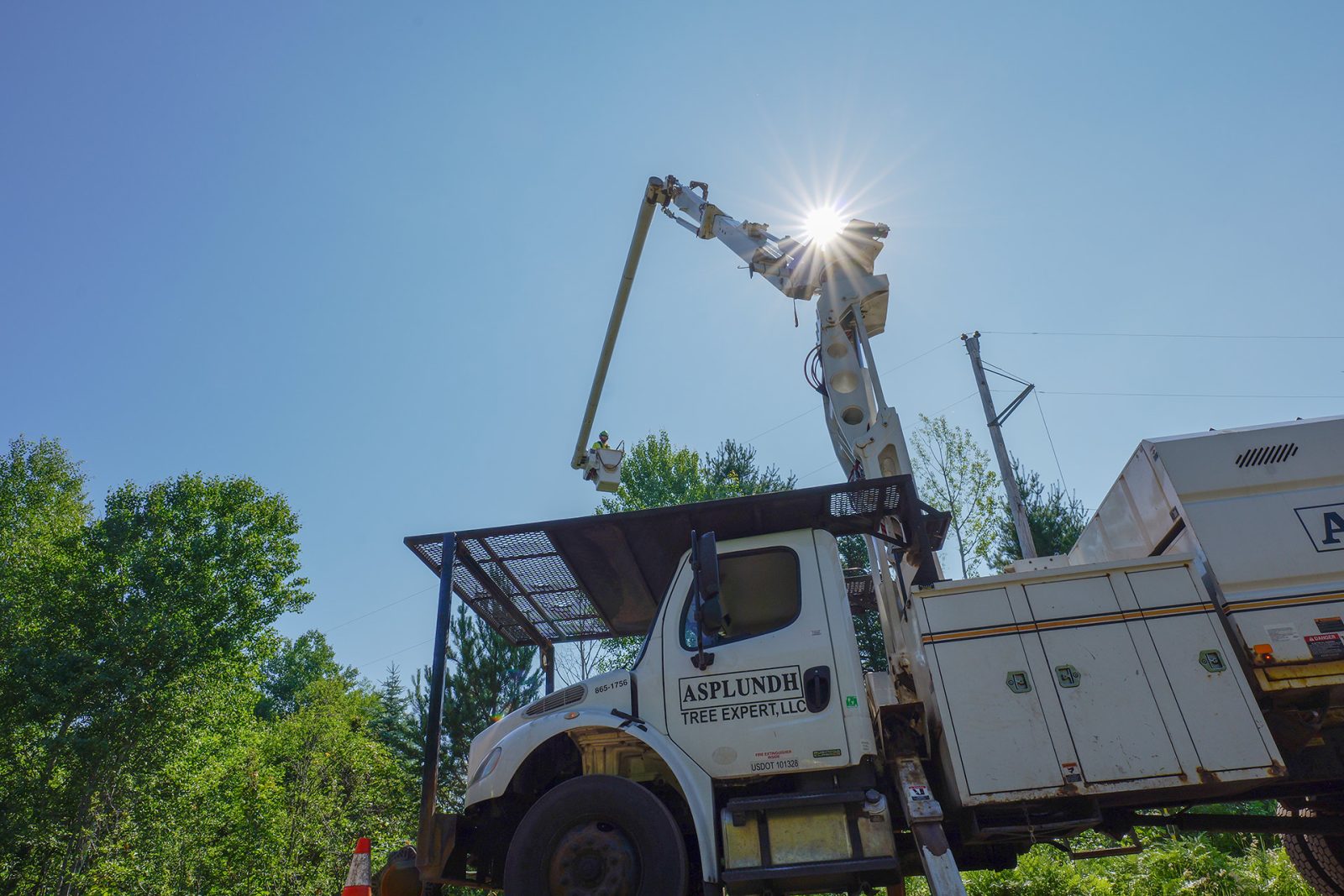 A vegetation management professional in a bucket along a rural road
