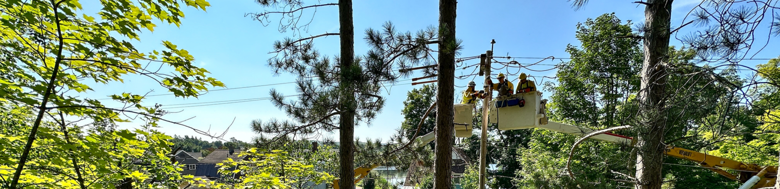 Upper Peninsula Power Company
