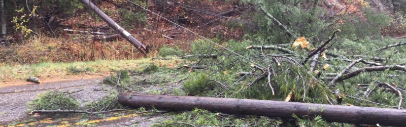 downed power lines