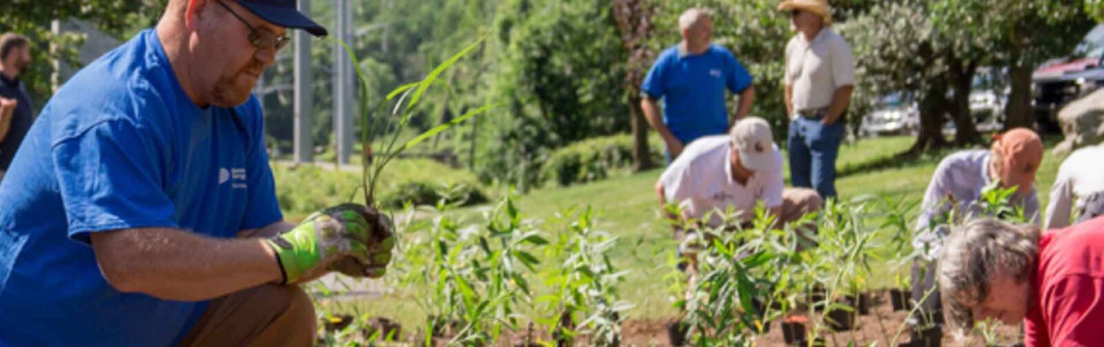 a group of people planting items in a garden plot