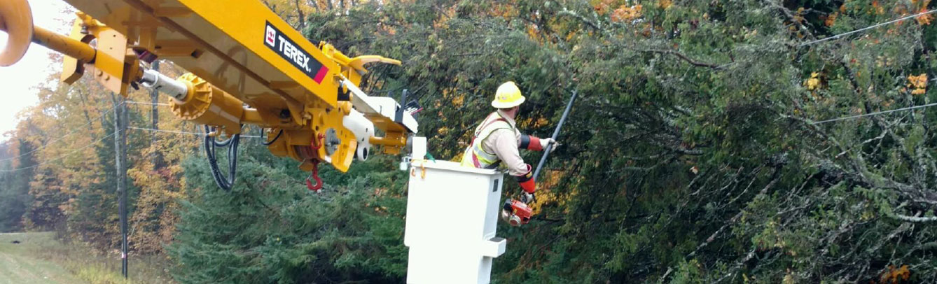 tree trimming