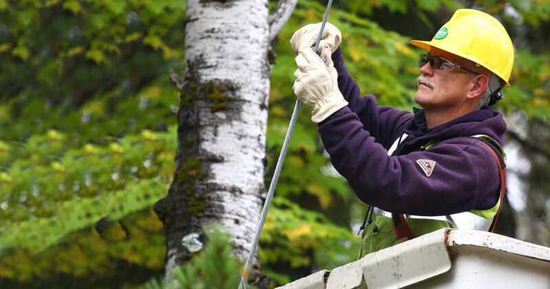 Lineman Care for Every Mile of Power Line
