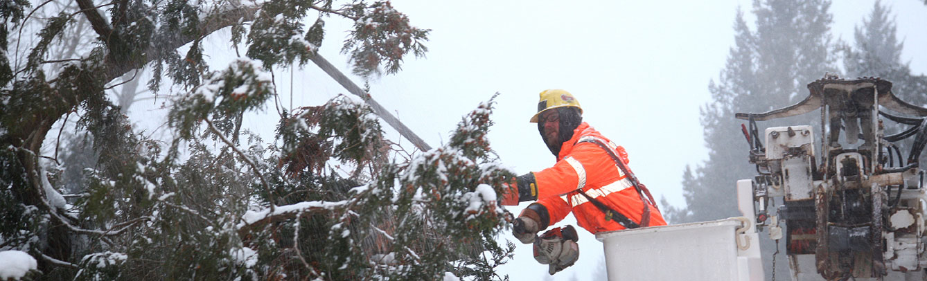 Upper Peninsula Power Company